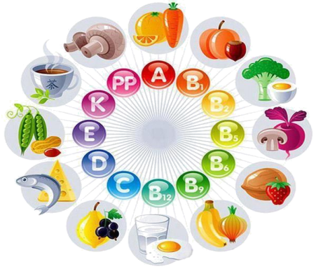 매일의 식탁에서 시작하는 자연스러운 영양 밸런스